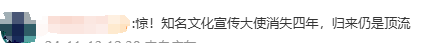李子柒三更了！钢琴弹唱《如愿》