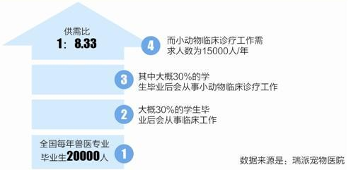 宠物医疗调查：看病比人贵、医生缺口大、专业度待提高