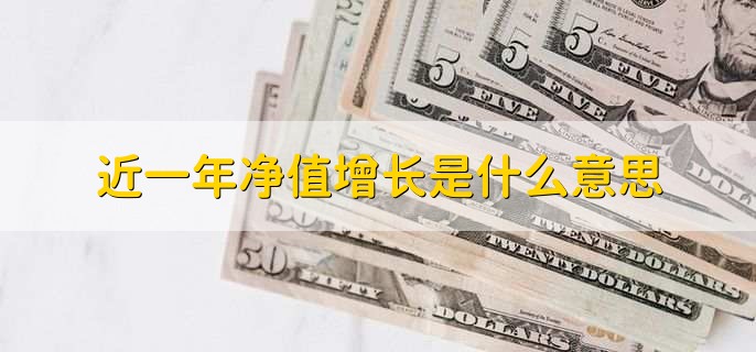 近一年净值增长是什么意思,净值增长是不是年利率