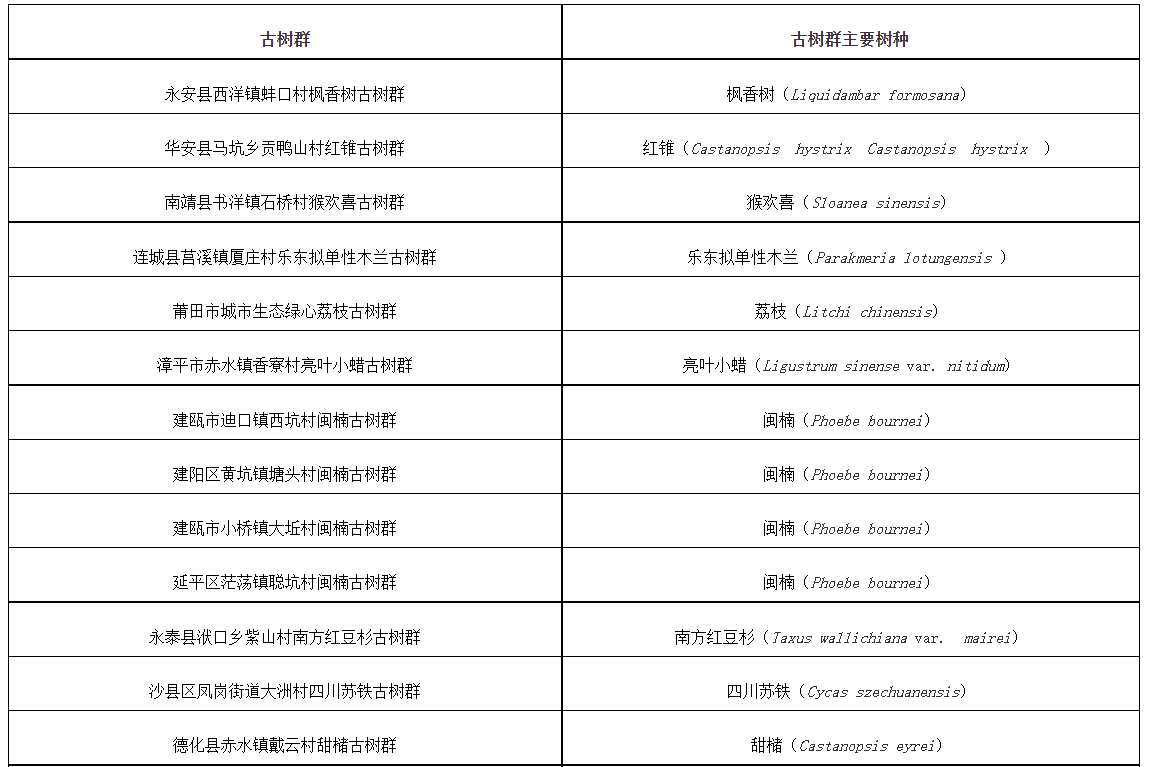 共20片！第三批“福建最美古树群”名单公示