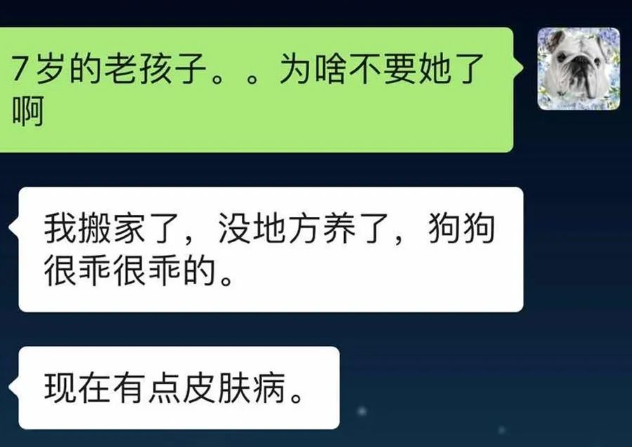 “我搬家了，这只7岁巴哥不要了，只有点皮肤病”，可见到狗后...