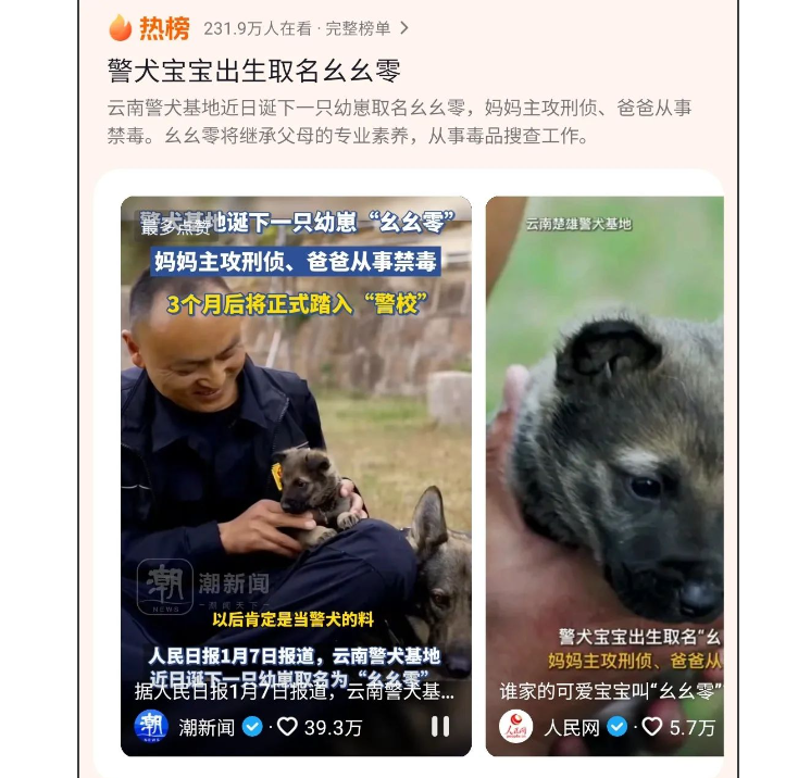 优秀警犬爹妈生下独子，奶爸给起名“幺幺零”，网友：这个宝宝是爽文主角标配啊！