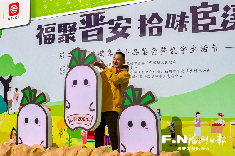 第二届晋安鹅鼻萝卜品鉴会在宦溪举办 打响金招牌玩转新花样