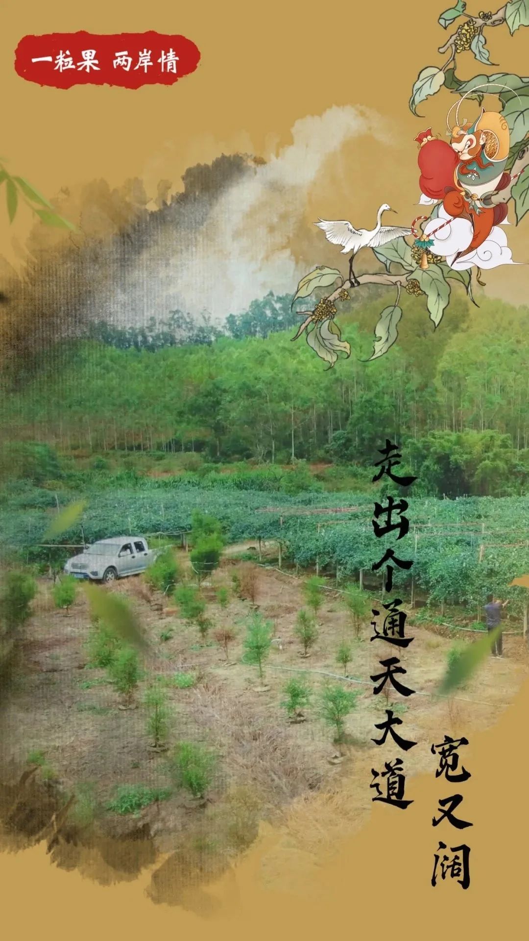 台青蔡志阳：在福建漳州种下一片“花果山”