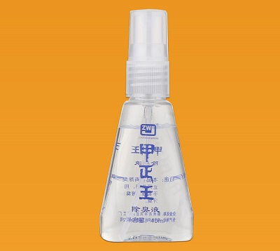 甲正王