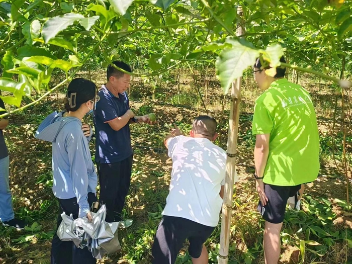 百香果乡情，共筑梦想园