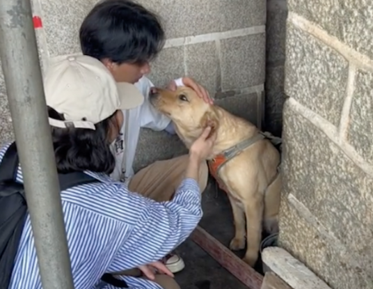 男子在村里撸了只狗，要离开时它站起来紧紧抱住他胳膊，好有灵性