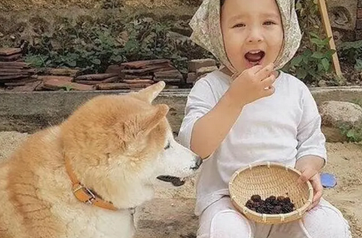 宝宝好心分饼干给狗狗吃，结果狗狗做出的反应，让宝宝都看懵了