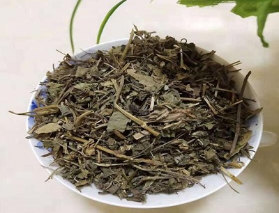 积雪草