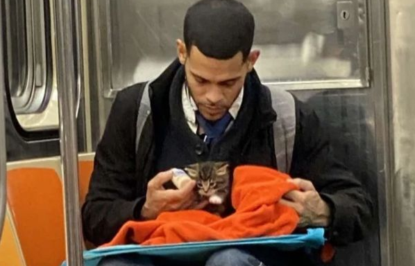 地铁上最萌的风景！对面毯子钻出一只小奶猫，暖男细心喂奶