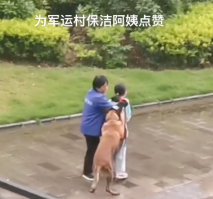 走丢的狗往女孩身上扑，保洁阿姨挺身而出保护她