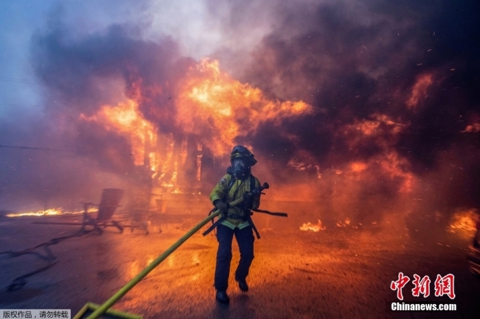 近日，美国加利福尼亚州南部洛杉矶地区突发大规模山火，目前已造成至少5人死亡，逾千房屋被损毁。图为当地时间1月7日，美国加州洛杉矶西部地区，一名消防员进行灭火。