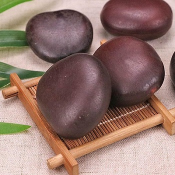 阴阳子