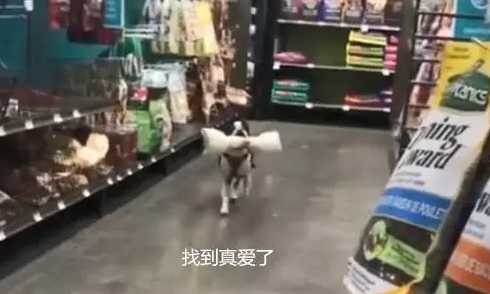 狗狗第一次逛超市，叼着大骨头就往外跑，铲屎的我先走一步了