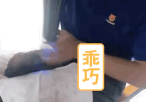一窝小奶狗疑似被人遗弃在消防站外，战士们的举动温暖所有人的心...