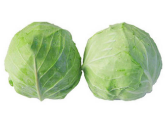 包心菜