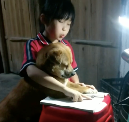 女孩在读书的时候，总是要搂着狗狗一起看！