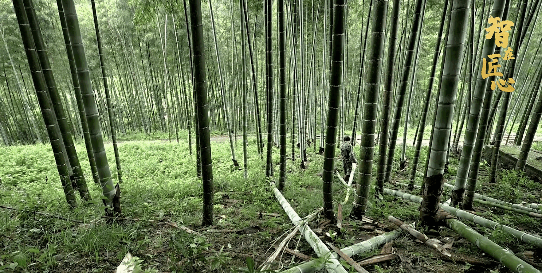 智在匠心 | 他与纸的缘分，“轻薄”又厚重