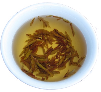 老鹰茶