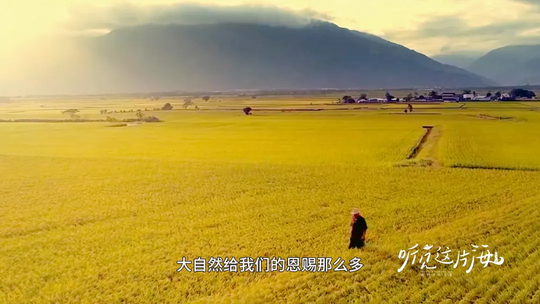 太平洋的风吹过的地方，都是歌