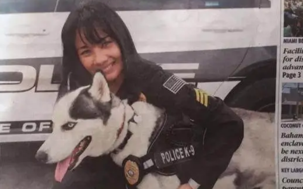 扬眉吐气！二哈在美国当上警犬啦！