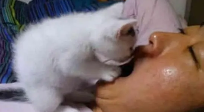 趁主人睡觉，小猫咪扒开他的嘴