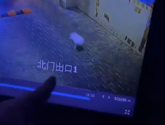因主人撞车狗狗立马下车逃跑，历经9小时寻找