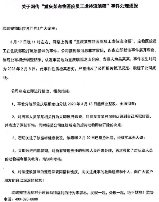 IPO中的最大宠物医院新瑞鹏被爆“虐猫”，家长们还能放心吗？