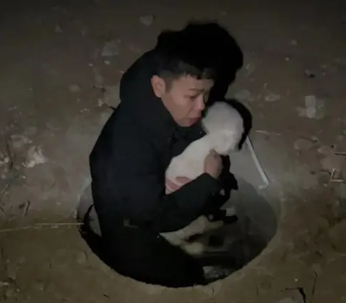 因主人撞车狗狗立马下车逃跑，历经9小时寻找