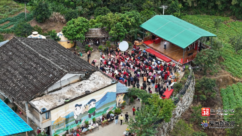 闽侯小箬乡大坂村30亩白地瓜进入丰收期