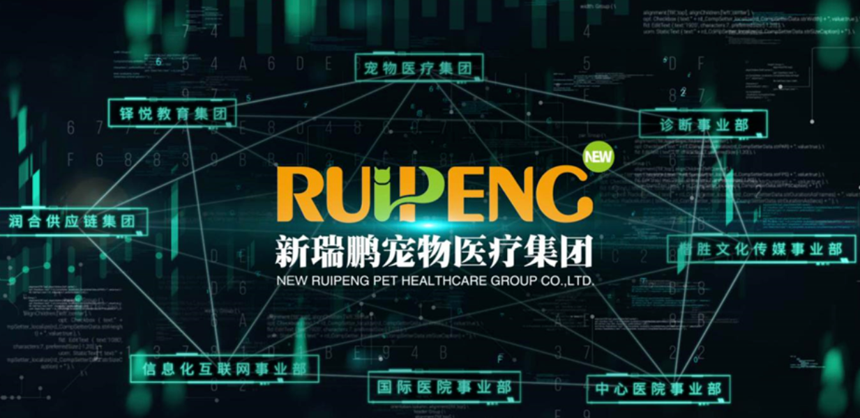 新瑞鹏冲刺“中国宠物医疗第一股”背后：三年累亏超30亿元，宠物医院屡收罚单