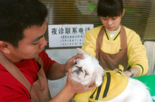 畜牧站能给宠物看病吗，畜牧站与宠物医院有什么不同？