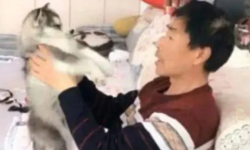 哈士奇被大叔抱在怀里聊天，随后二哈的举动，却让大家瞬间尴尬