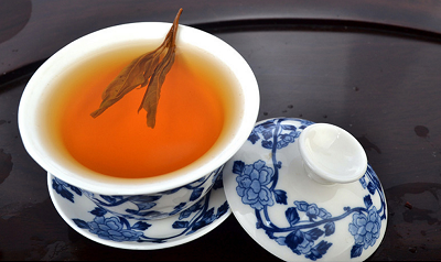 老鹰茶