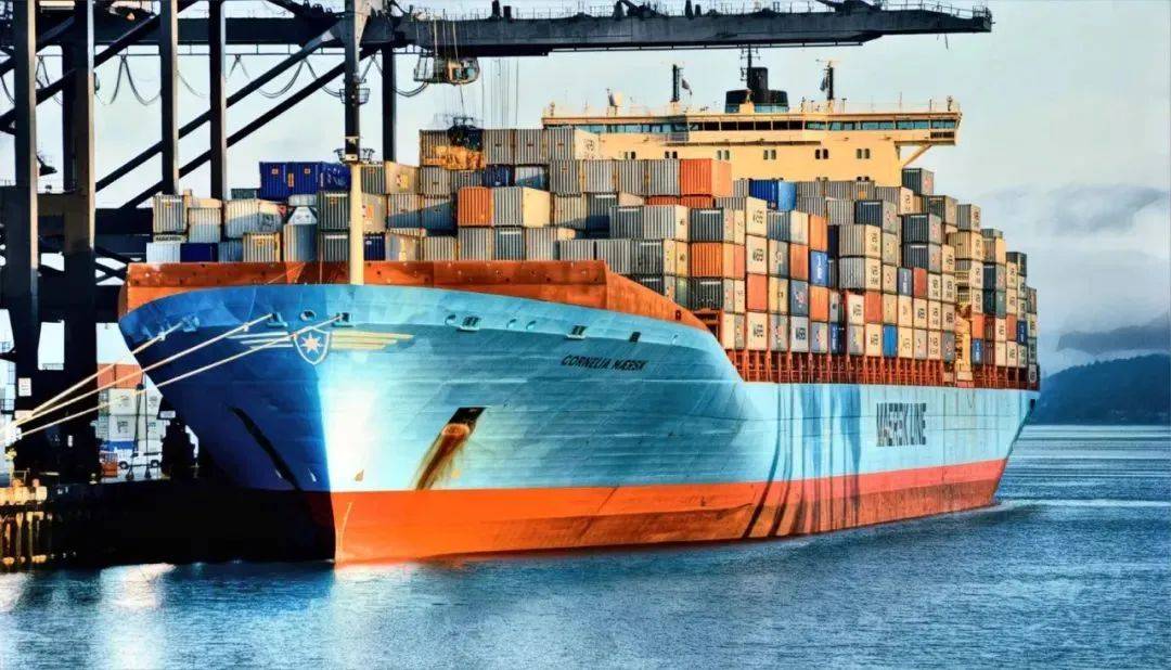 dwt船舶_dwt模板_dwt下载