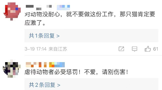 IPO中的最大宠物医院新瑞鹏被爆“虐猫”，家长们还能放心吗？