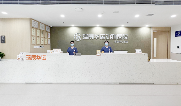 对话瑞辰宠物医院集团：两年跻身行业TOP3，一场专业主义的胜利