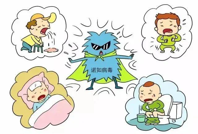 无特效药、多途径传染 疾控部门提醒：诺如病毒已进入感染高发季节