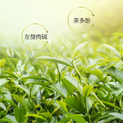 茶多酚