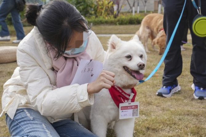 “狗狗医生”来了！四川成都将治疗犬只运用于心理治疗