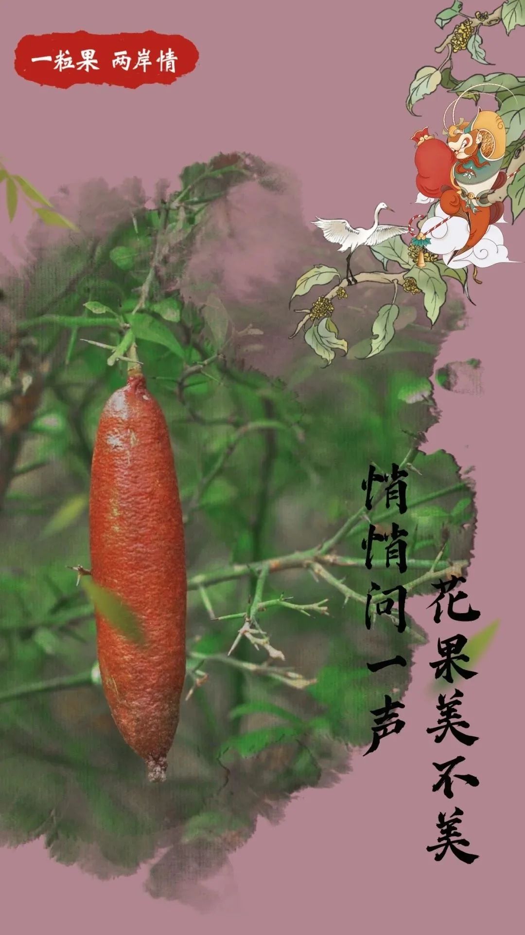 台青蔡志阳：在福建漳州种下一片“花果山”
