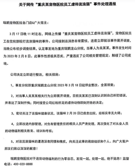 宠物医院员工虐打获救助的流浪猫，公司：开除打猫者并停业整顿