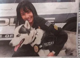 这只二哈走上了人生的巅峰，摇身一变成为了一只警犬