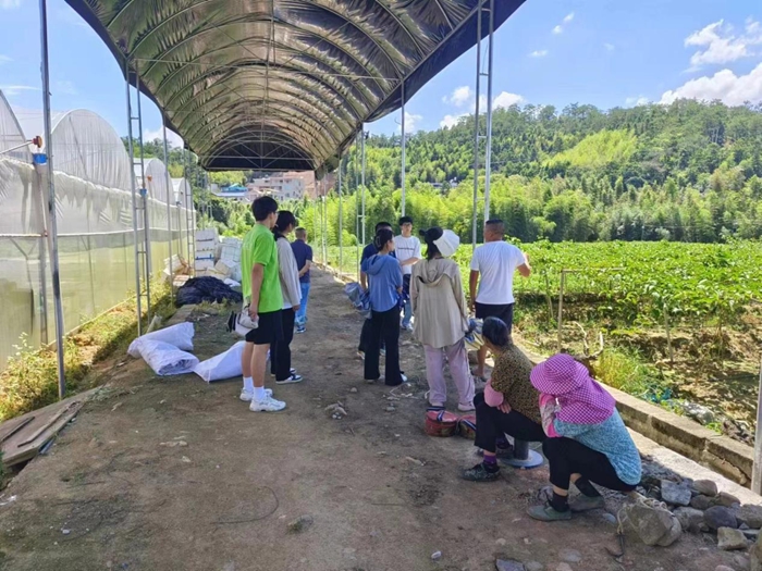 百香果乡情，共筑梦想园