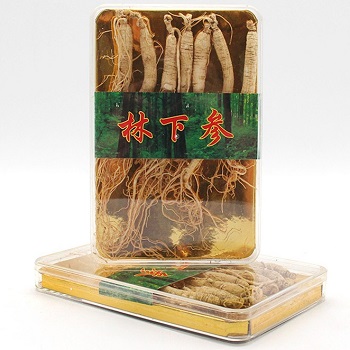 长白山林下参