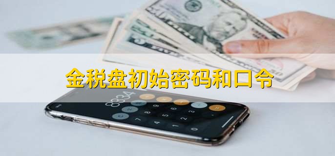 金税盘初始密码和口令,金税盘对个体户有哪些便利