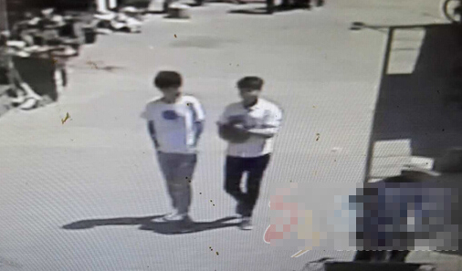 视频监控拍下爱犬被俩小伙抱走 饲主盼其归还