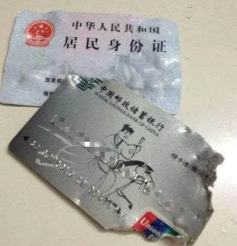 二哈在家不仅拆家还撕钱，主人火冒三丈，扬言今晚要把它炖了