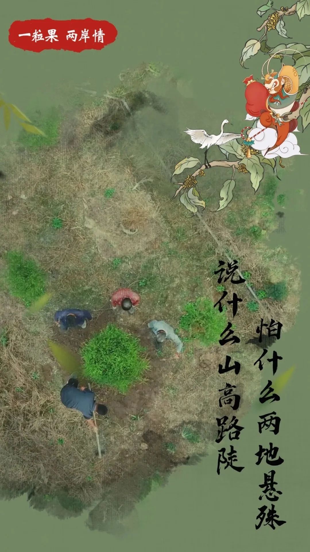 台青蔡志阳：在福建漳州种下一片“花果山”