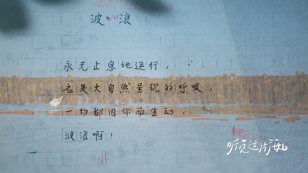 编导手记 | 永无休止的波浪，纪念“海洋诗人”蔡其矫